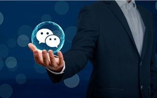 微街客营销系统与深圳企动Sell的深度解析 兼谈企业破产清算服务